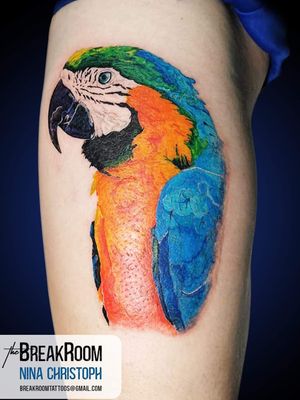 Macaw by Nina. 