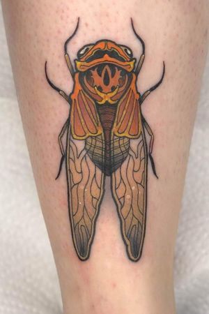 Neo traditional double drummer cicada on the shin 🧡 (Artist IG: adamszabo_lmt) #neotraditional #neotrad #neotraditionaltattoo #nature #naturetattoo #cicada #cicadatattoo #shintattoo #insect #insecttattoo #insects #hungary #hungariantattoo 