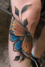 Freehand neotraditional butterfly (won 1st place at the alkmaar convention 2019)