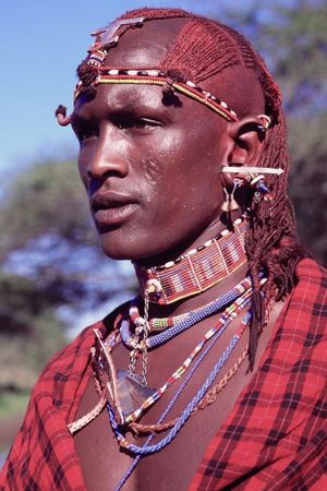 The Maasai warrior