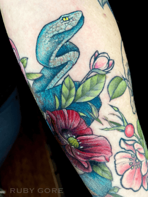 Botanical Snake and Raven #snake #raven #poppy #rose #illustrative #delicate #flower #floral #animal #nature #botanical #surrealism #trashpolka #realistic #girlytattoo #idea #design #drawing #sketch #scarcoverup #neotraditionaltattoo #qttr http://www.therubygore.com