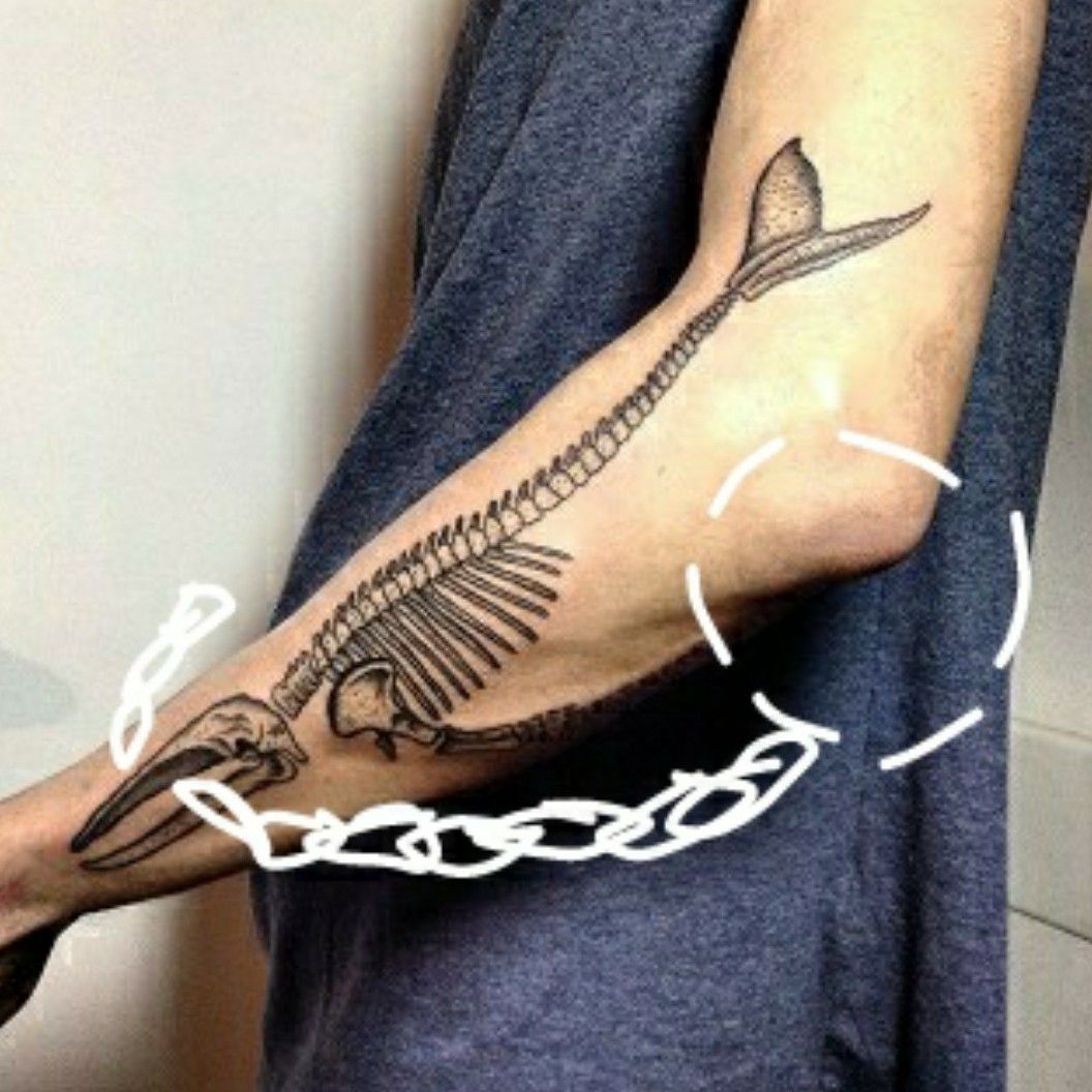 Tattoo uploaded by Maggie  A whale shark going down my arm and halfway  down the body turns into its skeleton  Tattoodo