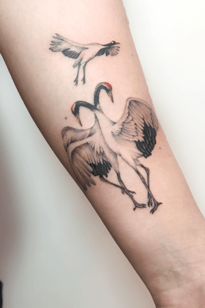 #tattoo #tattoos #tatts #uk #nottingham #colourfultattoos #realism #japanesecranes #botanicaltattoo #cranes #colour #uktattoos #nottinghamtattoos #inked #ink #colours #birds #japanesecranetattoo #tattooideas #tattoodesign #details #tattoodetails #greenpower #green #detailedtattoos #microrealism #femininetattoos #delicatetattoos 