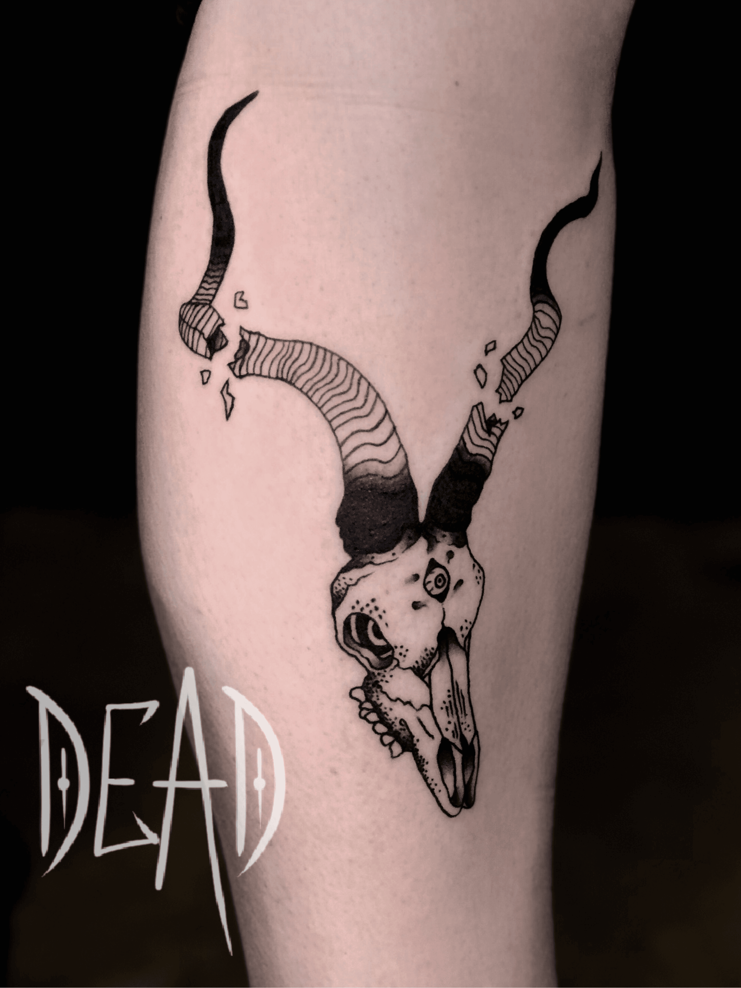 Tattoo uploaded by Billy • Ram skull from my flash • Tattoodo