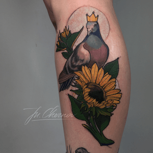 King Pigeon and sunflowers.
