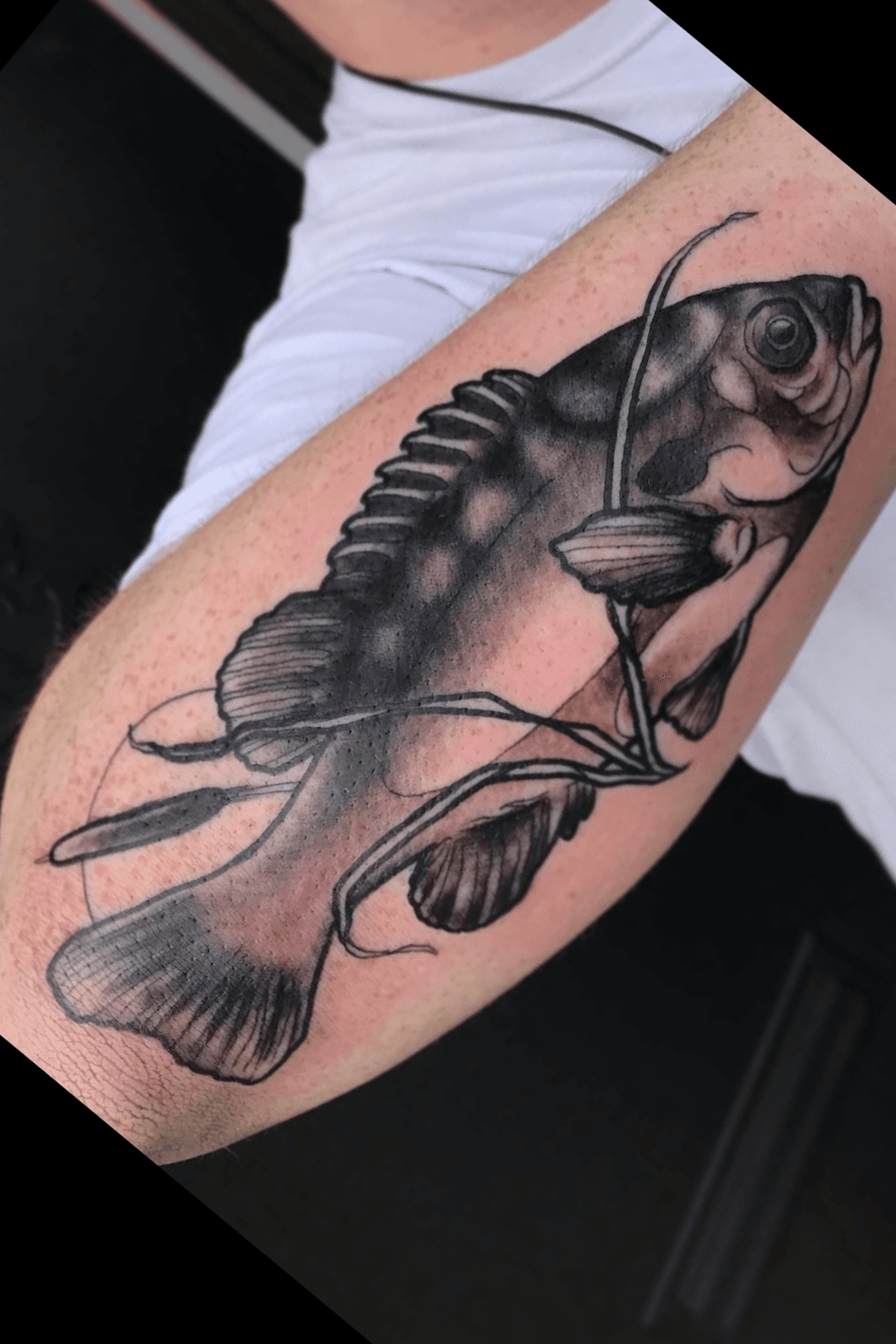 40 Catfish Tattoo Designs For Men  Aquatic Ink Ideas