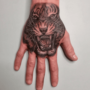Tiger on the hand 