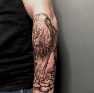 Lion tattoo