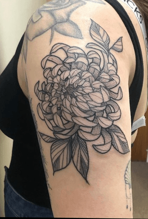 Chrysanthemum tattoo on my arm #armtattoo #tattoo #flower #flowertattoo #floral #floraltattoo #chrysanthemumtattoo #chrysanthemum 