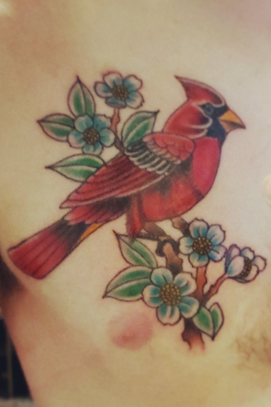 Tattoo tagged with jayshin small cardinal animal tiny bird ifttt  little medium size illustrative upper arm  inkedappcom