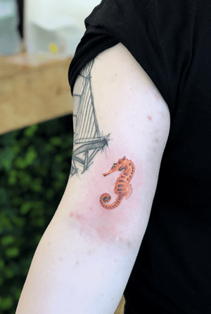 #tattoo #tattoos #tatts #uk #nottingham #colourfultattoos #watercolourtattoo #flowertattoo #botanicaltattoo #flowers #colour #uktattoos #nottinghamtattoos #inked #ink #colours #floral #floraltattoo #tattooideas #tattoodesign #details #tattoodetails #greenpower #green #detailedtattoos #microrealism #femininetattoos #delicatetattoos #tattoostudio #goodtattoostudio #seahorse #seahorsetattoo