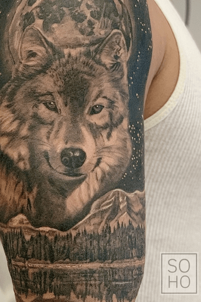 Detail shot of a wolf
