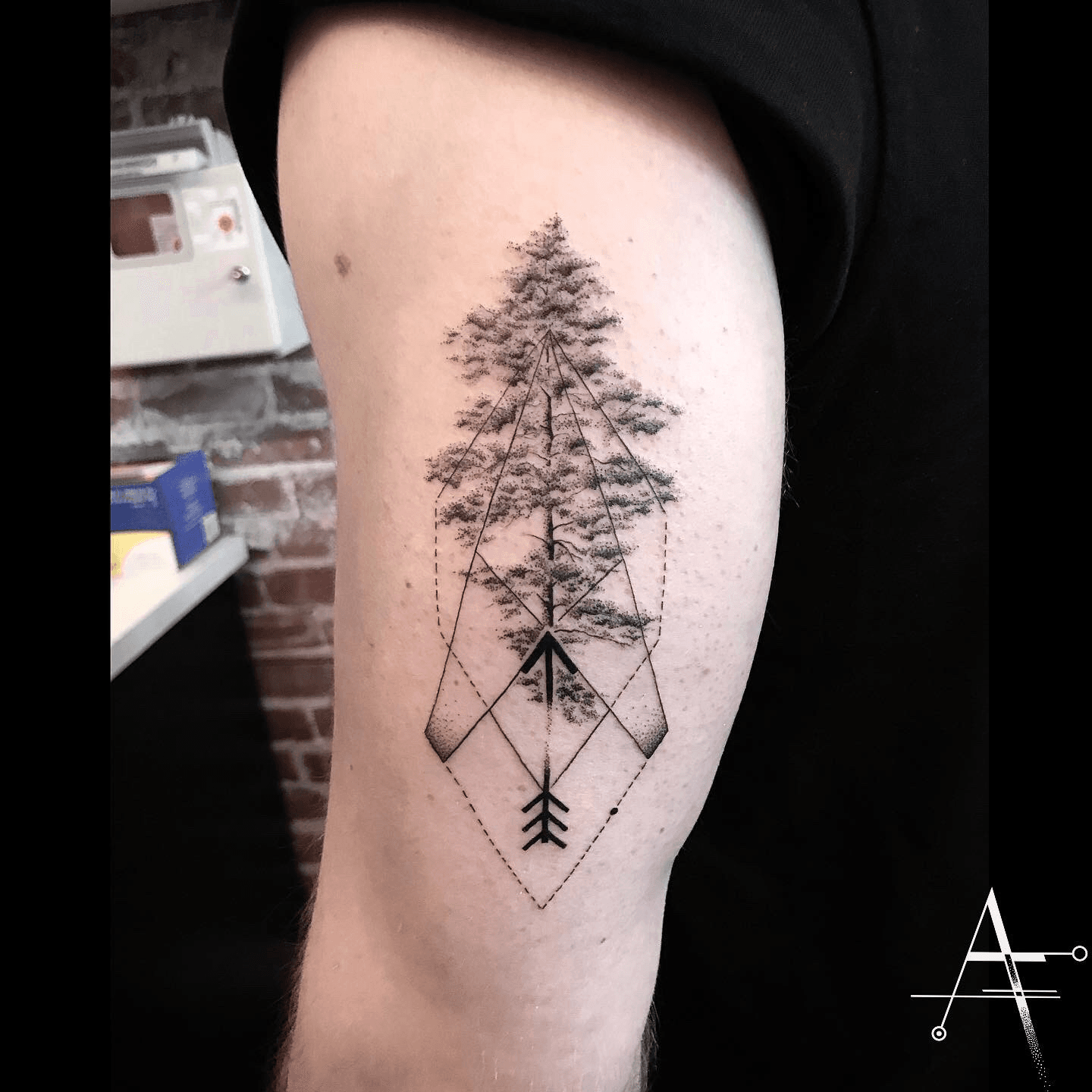22 Wisteria tattoo ideas  wisteria american wisteria plants