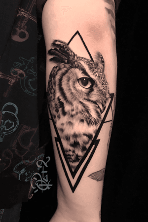 #owl #blackandgrey #qtat2 #qtats