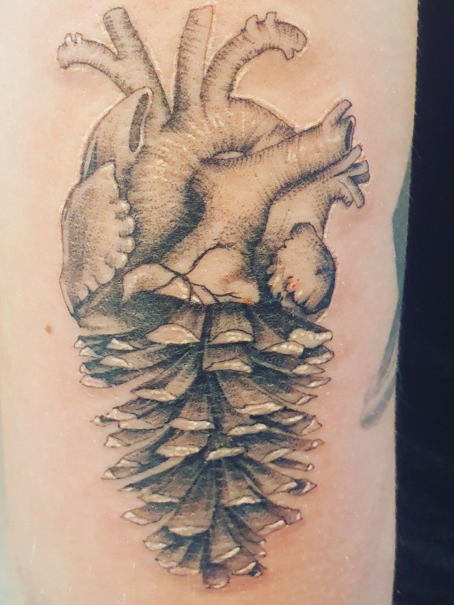 60 Pine Cone Tattoo Designs for the Adventurous