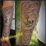 Lion tattoo forarm piece 2nd sitting #christchurch #newzealand #greyshade #blackandgreytattoo #tattooart #tattoo #liontattoos #liontattoo #realisumtattoo #forearmtattoo #animaltattoo #africatattoo #lionesstattoo #lionshead #lions