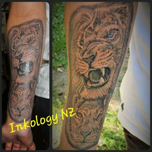 Lion tattoo forarm piece 2nd sitting #christchurch #newzealand #greyshade #blackandgreytattoo #tattooart #tattoo #liontattoos #liontattoo #realisumtattoo #forearmtattoo #animaltattoo #africatattoo #lionesstattoo #lionshead #lions