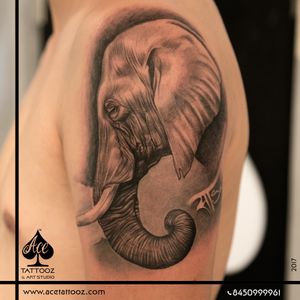 The love for his elephant 'SaSa' has been inscribed on his arm forever.Ace Artist @chetan_acetattooz works his magic to depict this human-animal bond.Tag someone who would also want to show their love in a similar way.#acetattooz #acetattoozindia #acetattoozcolaba #acetattoozghatkopar #itsanacetattooz #besttattoostudio #tattoostudioinmumbai #tattooculture #kingstattoosupply #stencilstuff #indiantattooartist #tattoocultr #itattyou #tattoosinindia #elephant #bestelephanttattoo #mightyelephant #blackandgreytattoo #bestblackandgreytattoo