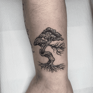 Tattoo uploaded by Mehmet Veli • Tree tattoo by Mehmet Veli #mehmetveli ...