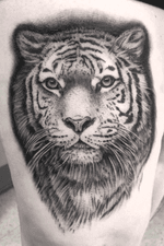 #tiger #tattoo #animal #blackwork 