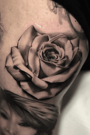 Black and grey rose
