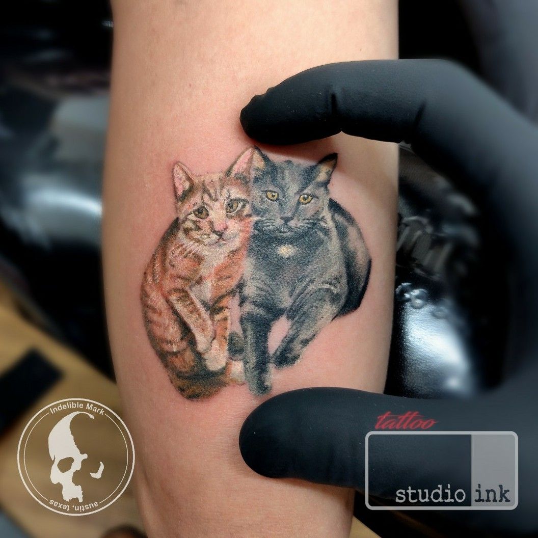 Little reislin cat tattoo Client  The 8 Tattoo Studio