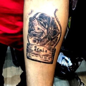 #dog tattoo #rip zenia