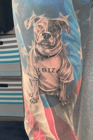 American Bulldog - My Dog Ibiza That Passed Away
