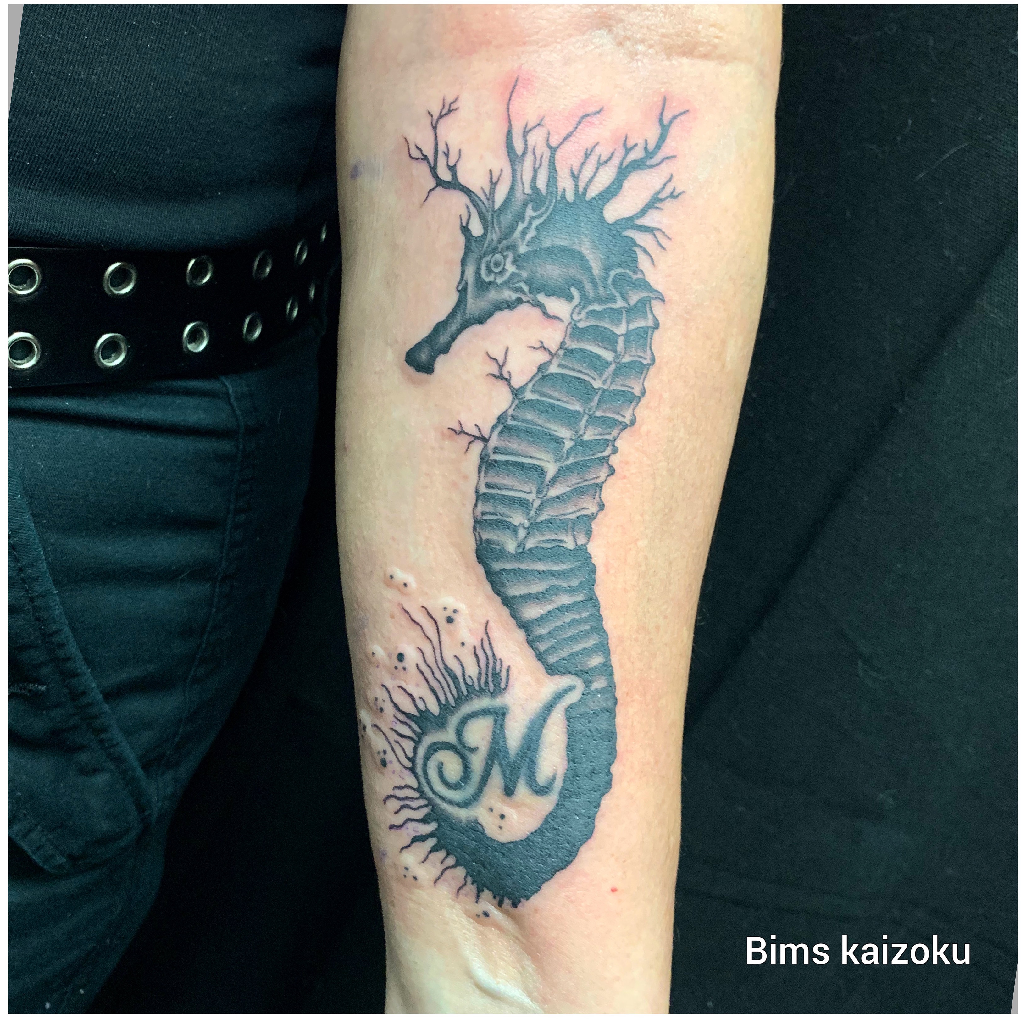 Tattoo uploaded by Bims Kaizoku • Dark hippocampe 💀 les eaux ont changé et  lespèce évolue ☠️ bims bimskaizoku bimstattoo hippocampe paris  paname paristattoo tatouage normandie normandietattoo pontaudemer  pontaudemertattoo mer dark ...