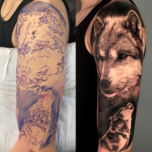 Before and after, Stencil & Wolves sleeve tattoo in black and grey realism, London, UK | #bestrealistictattoos #wolftattoo #sleevetattoos #blackandgreytattoos 