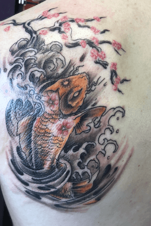 Koi fish with cherry blossoms