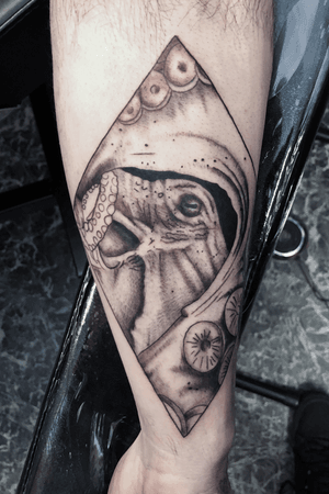 First session done on this octopus!