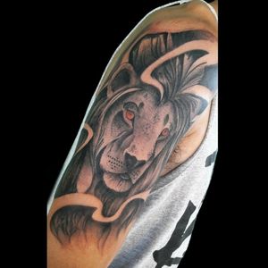 Tattoo de recién.. #tattoo #inked #ink #lion #liontattoo #leontattoo #leon #lion #blackandgrey #blackandgreytattoo #luchotattoo #luchotattooer #pergamino 