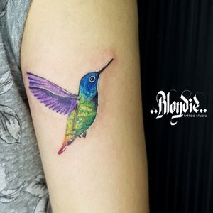 Hummingbird 😎