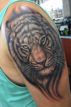 Tiger Portrait Tattoo