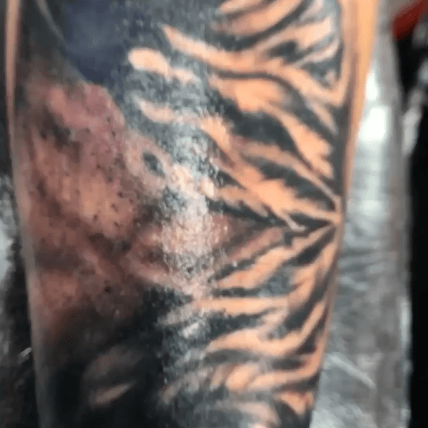 Tattoo from Hood Ink Tattoo Zoo