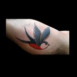 Un tradi de recién.. #tattoo #inked #ink #traditionaltattoo #traditional #tatuajetradicional #golondrina #golondrinatattoo #birdtattoo #luchotattoo #luchitattooer 