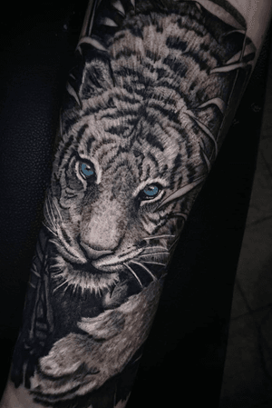 Black and grey tiger by @hobotattoo 