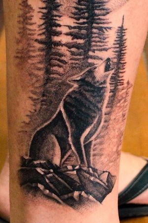 #tattoo #tattoos #girlswhithtattoos #tattooed #tattooartist #tattooart #tattooedgirls #tattoolife #instatattoo #traditionaltattoo #blackwork #inspirationtattoo #tattooblacrkandgrey #tatuagem #tattoowork #tattooidea #tatt #art #tatuaje #sc #wolf 