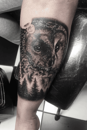 A owl that I am continuing into a full sleeve #owl #owltattoo #realism #realistic 