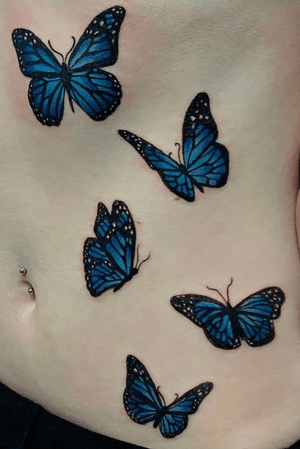 Blue Butterflies 🦋     #butterfly #bluebutterfly #realism #realisticbutterfly 