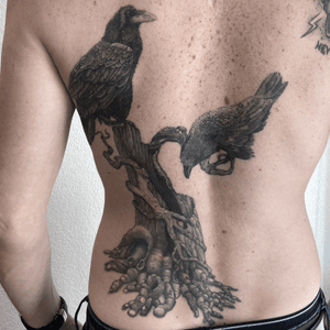 Cicatrisé 3 ans #tattoo #tatouage #healed #healedtattoo #crow #crowtattoo #blackandgrey #blackandgreyink #blackandgreytattoo #birdtattoo #treetattoo #realisticink #fann_ink