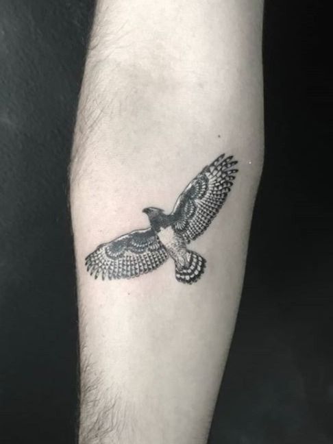 Tattoo uploaded by Borrero Studio • Harpy Eagle. 2018 • Tattoodo