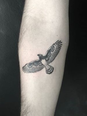 Harpy Eagle for Jared 🦅  Neo traditional tattoo, Traditional