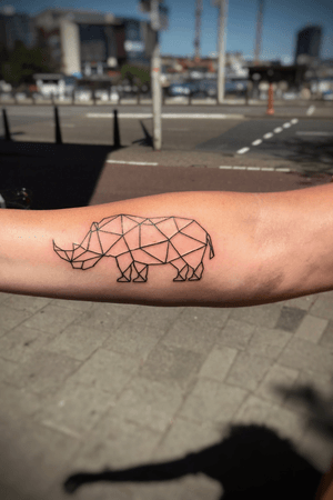 Geometric rhino 