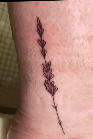 Lavender on my ankle, first tattoo. 