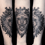 #lion 