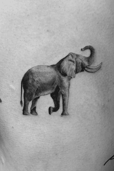 Instagram @rusty_hst Elephant tattoo. #elephant #microtattoo #blackandgrey #realism 