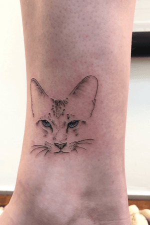 Portrait of a clients cat #cattattoo #fineline