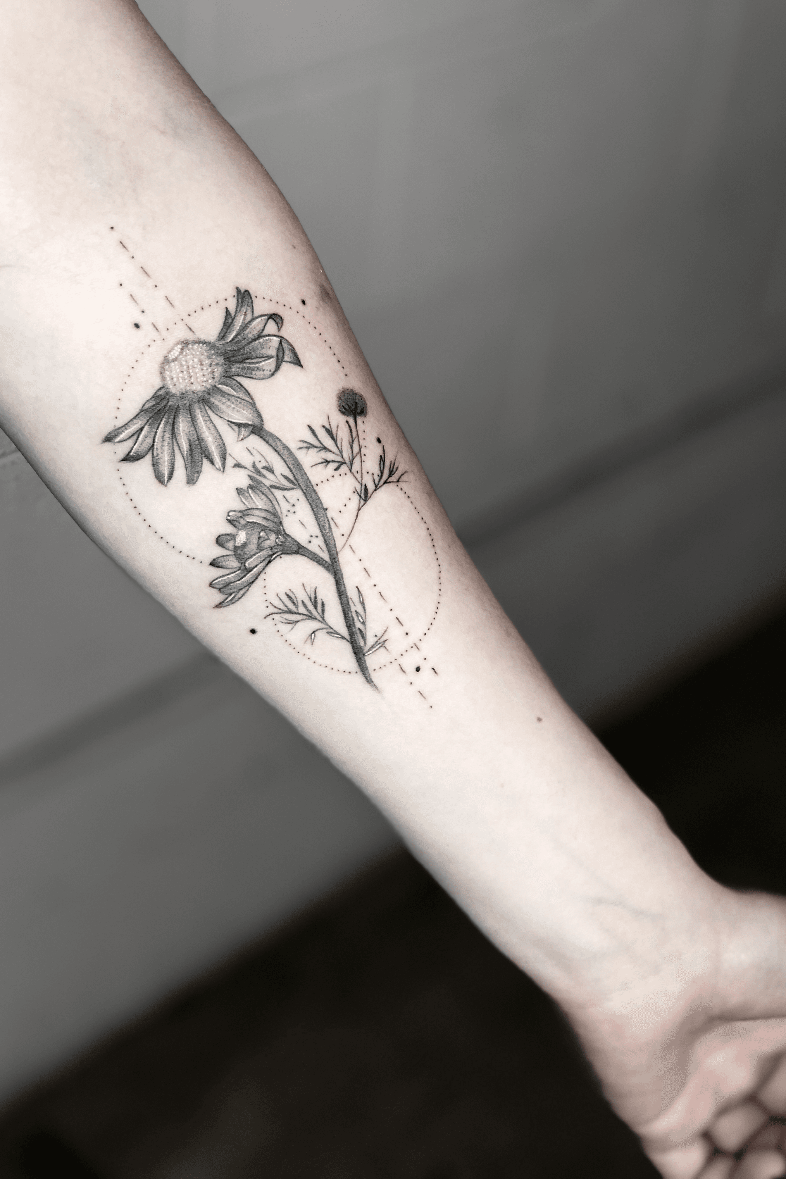 Tattoo uploaded by Koi Saelee  Chamomile dotwork fineline flowertattoo   Tattoodo